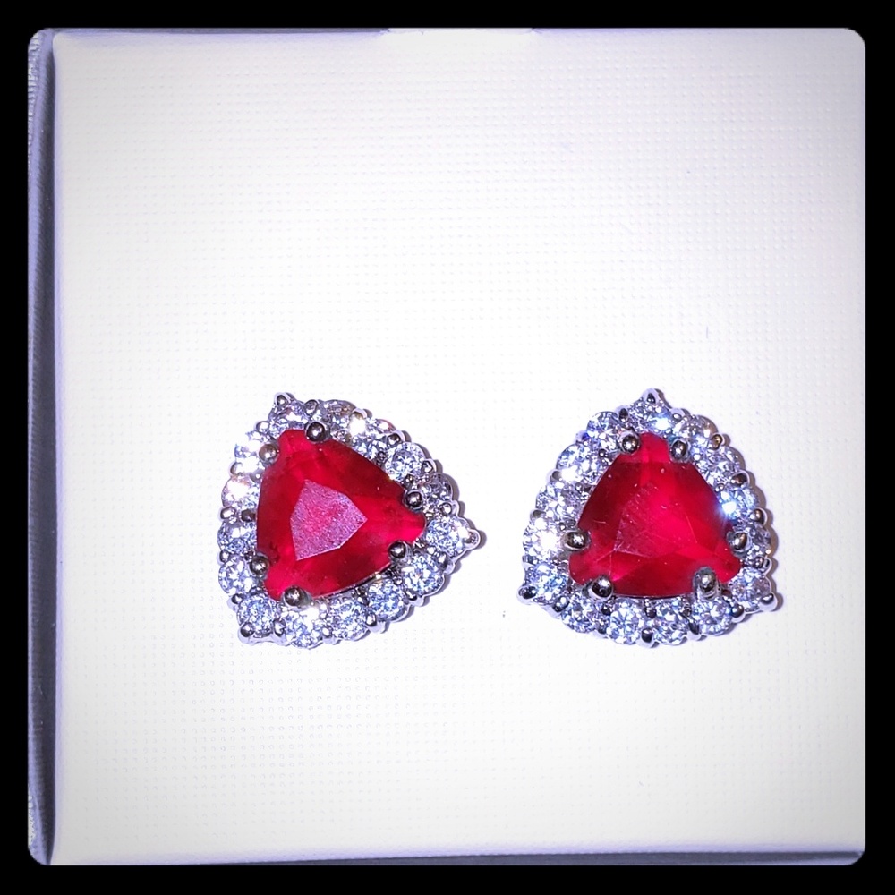 .925 Sterling Silver earrings